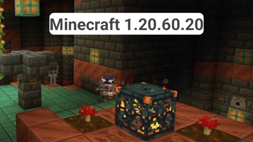 Minecraft 1.20.60.20
